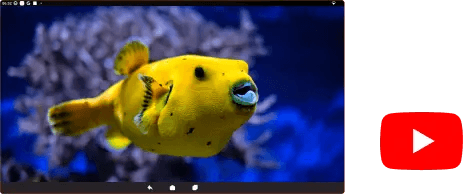 YouTube full screen playback on IntraEdu